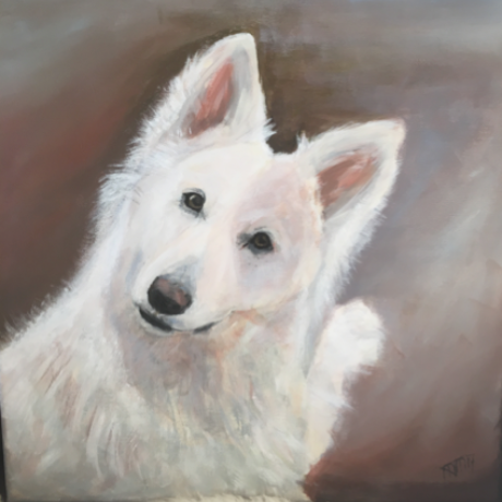 Mijn hond Lupa