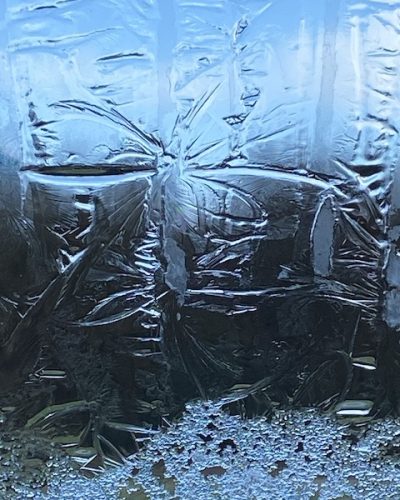 Dragonfly isce flower