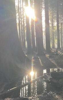 Schermafbeelding 2025-06-05 om 08.40.48