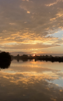 Schermafbeelding 2025-06-05 om 08.42.24